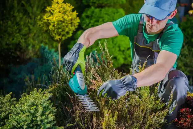 landscaping services Mount Kisco
